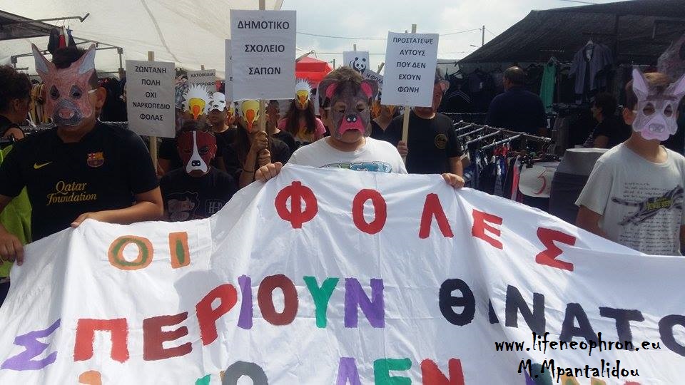 Εικόνα 5. Οι μαθητές του Διαπολιτιστικού Δημοτικού Σχολείου Σαπών πρωτοπορούν στη μάχη ενάντια στις φόλες